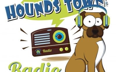 Hounds Town Radio is on the Air!