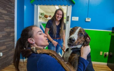 Pet Care Franchise Poised for Exponential Growth in 2020