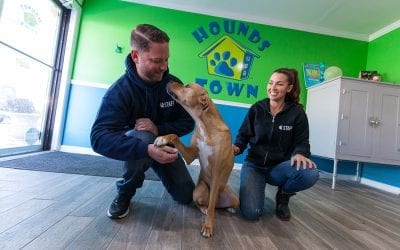 Hounds Town USA Sees 100% Franchise Growth in 2017