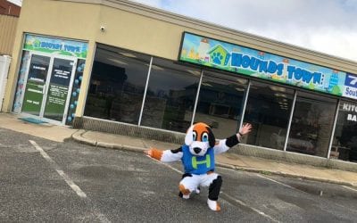 Hicksville, NY Opens its First Hounds Town USA Pet Care Franchise