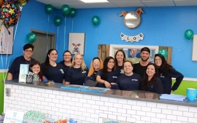 Popular Dog Day Care Franchise Profiled in Hicksville News