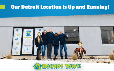 Hounds Town Detroit Dog Kennel Franchise Opens