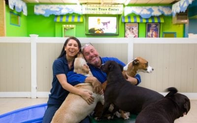 Pet Care Business Considered “Recession-Resilient”