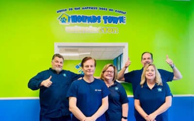 TWO Dog Franchise Grand Openings in One Week! Meet Our New Owners