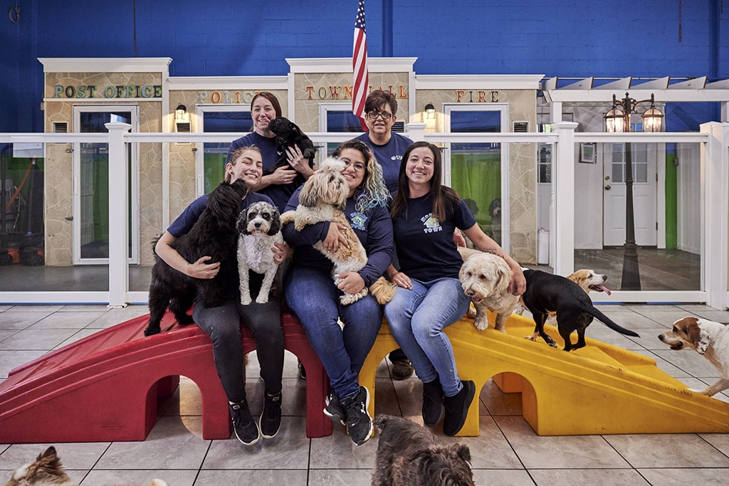Own A Hounds Town Doggy Daycare Franchise - 2