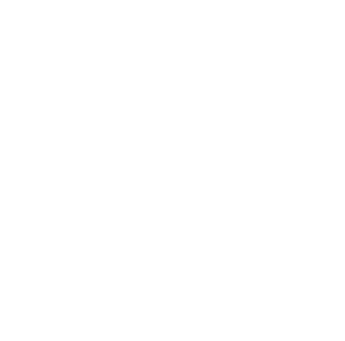 White Logo - Hounds Town USA - Dog Daycare Franchise